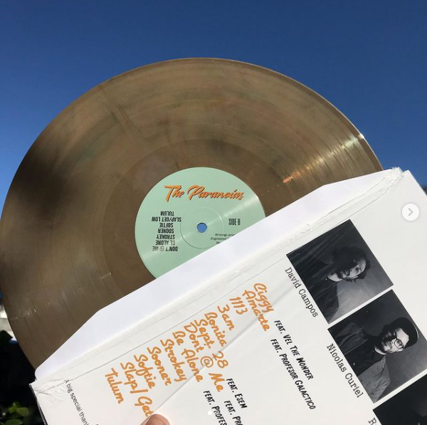 The Paranoias “Misperos" Vinyl