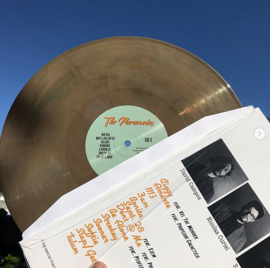 The Paranoias “Misperos" Vinyl